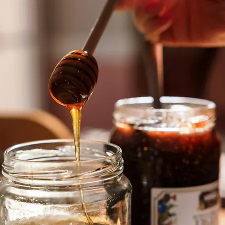 Western Lakmi 호텔